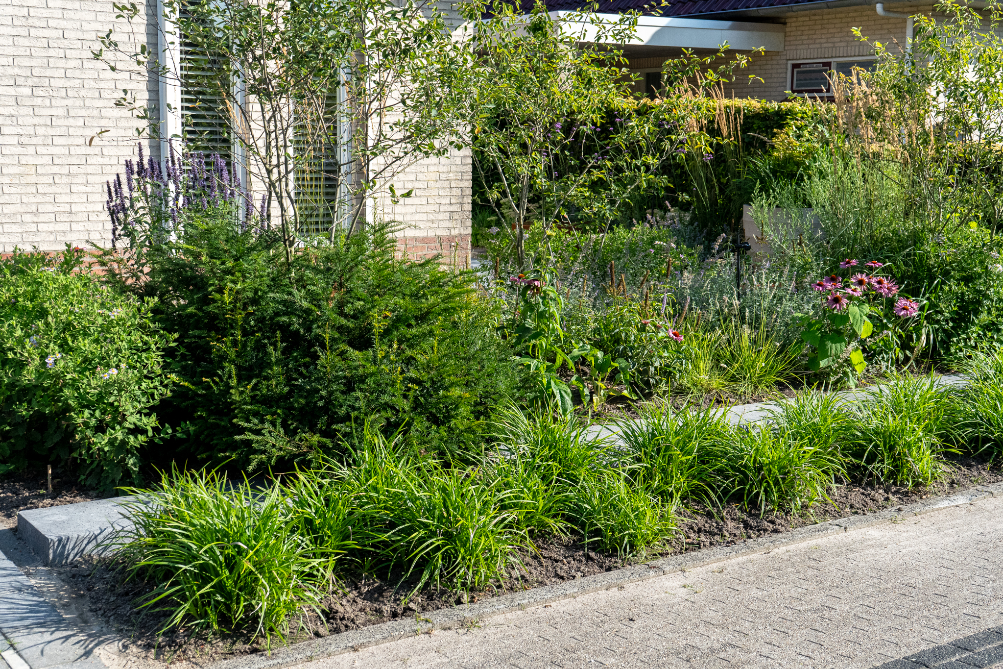 STRAKKE VOORTUIN IN ROTTEVALLE
